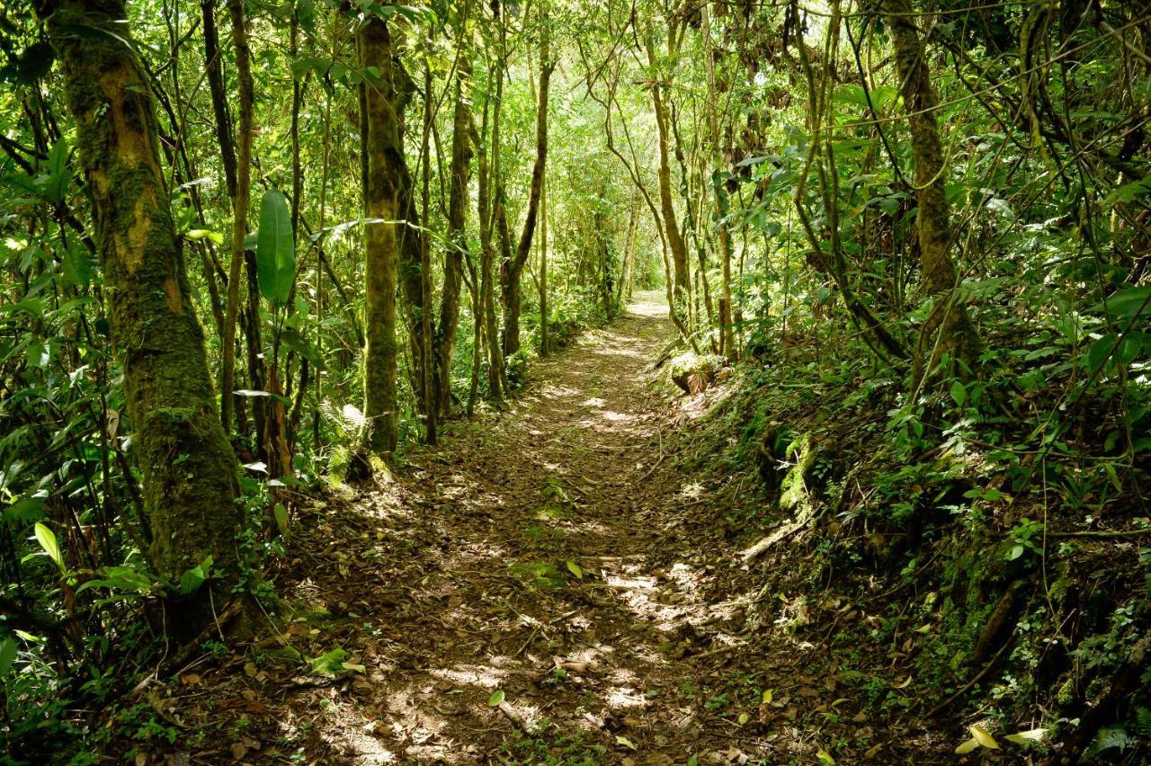 Talamanca Nature Reserve Rivas Eksteriør bilde
