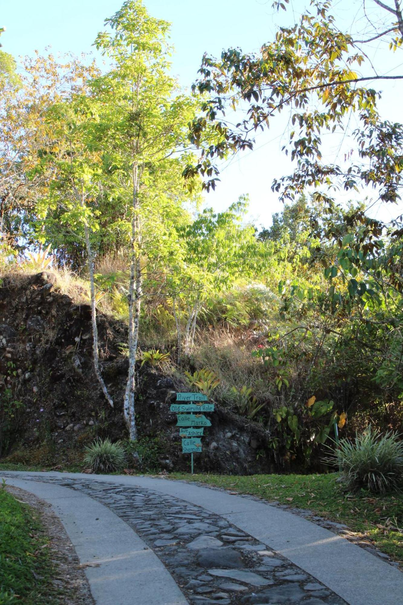 Talamanca Nature Reserve Rivas Eksteriør bilde