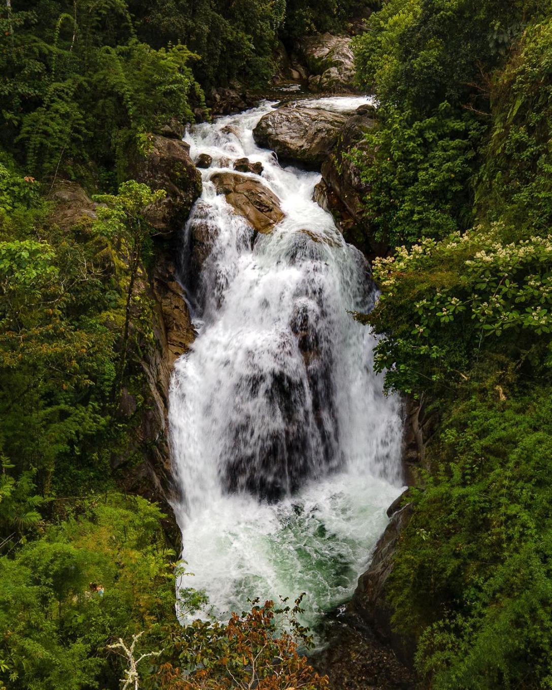 Talamanca Nature Reserve Rivas Eksteriør bilde