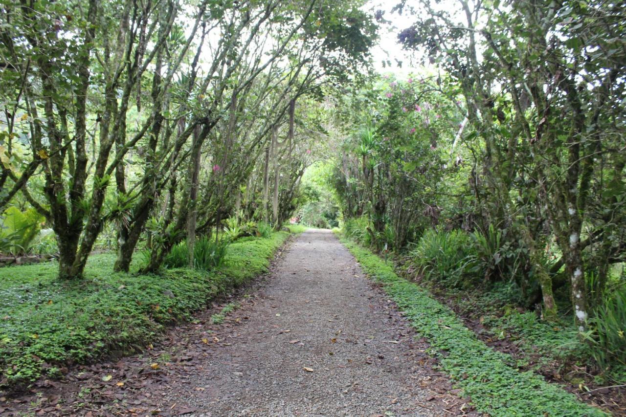 Talamanca Nature Reserve Rivas Eksteriør bilde